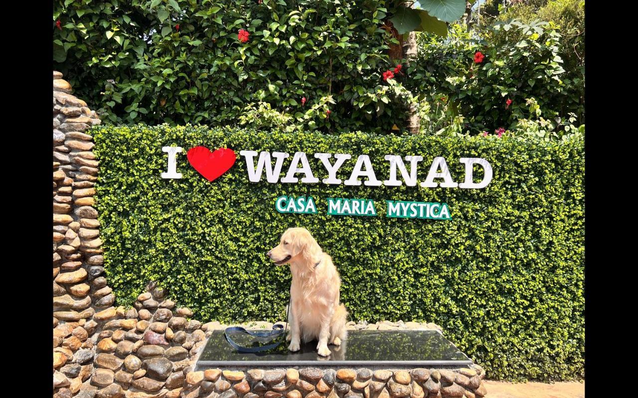 Casa Maria Mystica Apartments, Mananthavady, Wayanad Bagian luar foto